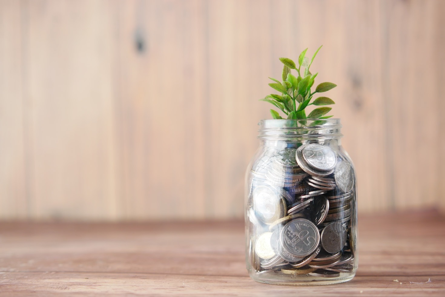 Educação financeira: por onde começar?
